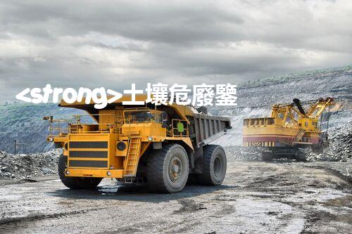 <strong>土壤危廢鑒定流程隱秘的廢棄物：揭開(kāi)城市底下的神秘面紗！</strong>